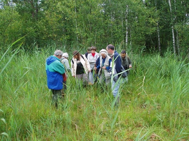 2007 07 Marais du Cerisaie 02